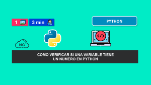 Como Verificar Si Una Variable Tiene un Número en Python